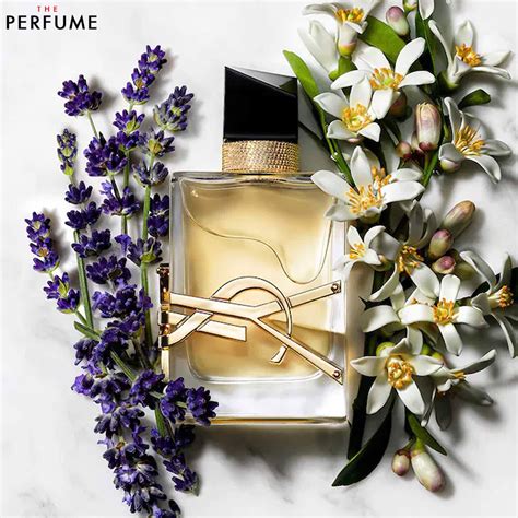 rekomendasi parfum YSL